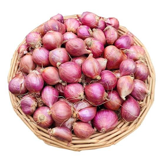 Shallot Onion