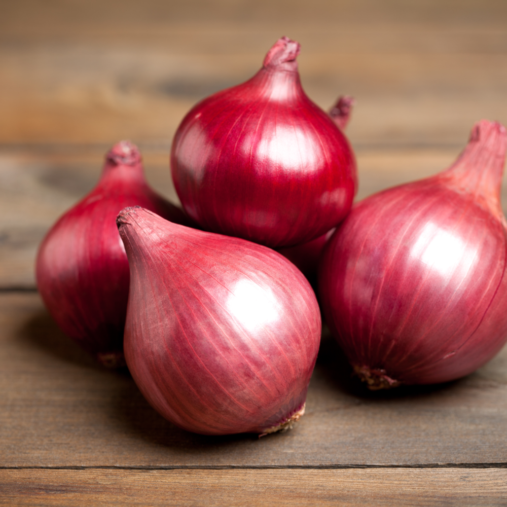 Rose Onion
