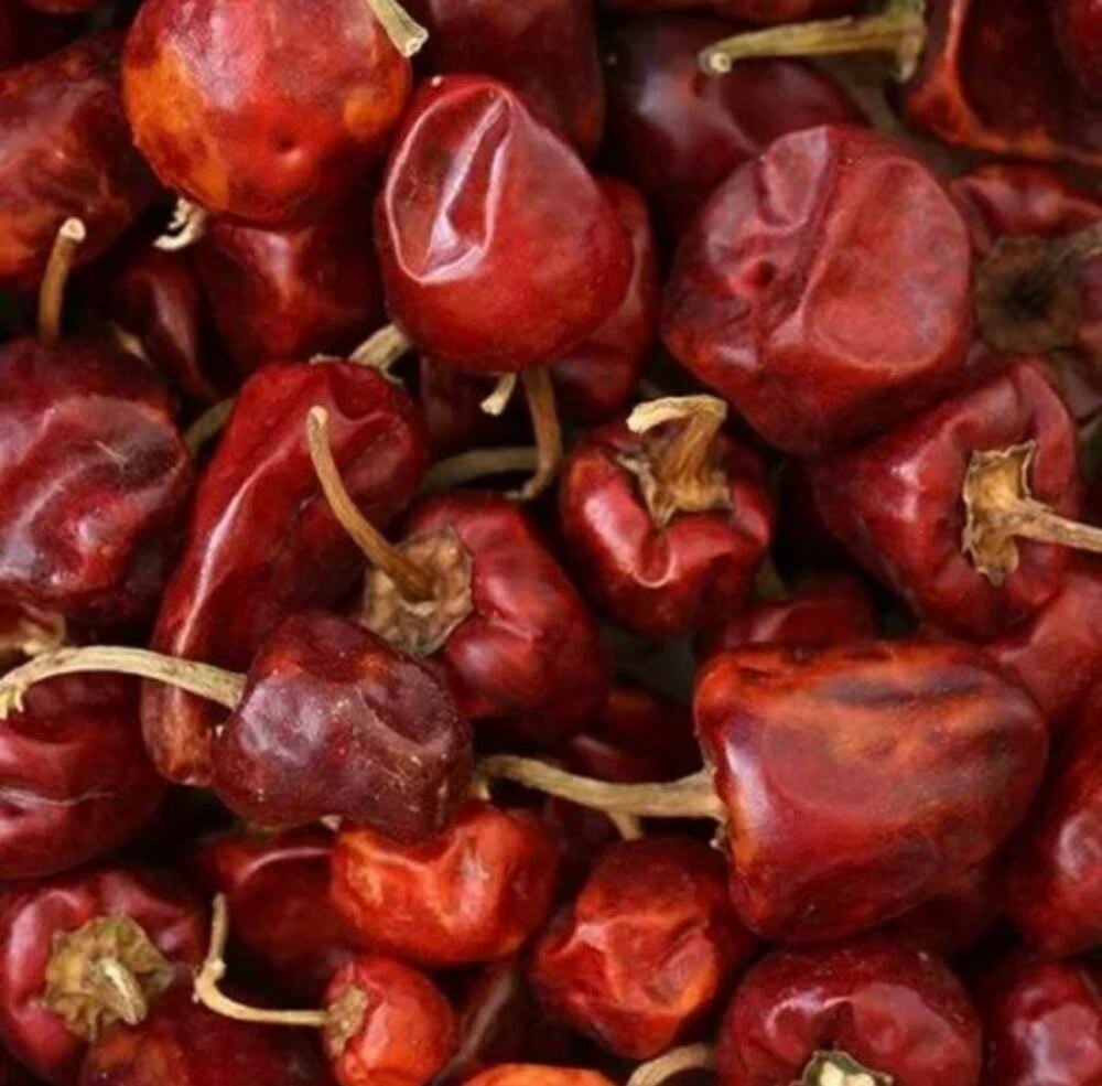 Munda Chilli